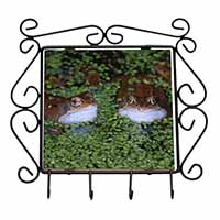 Pond Frogs Wrought Iron Key Holder Hooks
