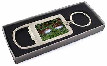 Pond Frogs Chrome Metal Bottle Opener Keyring in Box