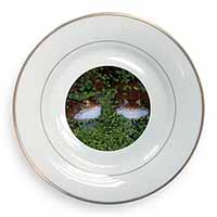Pond Frogs Gold Rim Plate Printed Full Colour in Gift Box