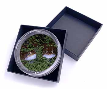 Pond Frogs Glass Paperweight in Gift Box