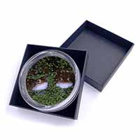 Pond Frogs Glass Paperweight in Gift Box