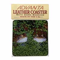 Pond Frogs Single Leather Photo Coaster