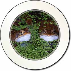 Pond Frogs Car or Van Permit Holder/Tax Disc Holder