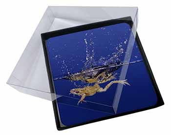 4x Diving Frog Picture Table Coasters Set in Gift Box