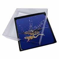4x Diving Frog Picture Table Coasters Set in Gift Box