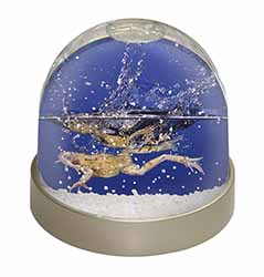 Diving Frog Snow Globe Photo Waterball