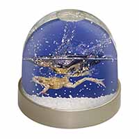 Diving Frog Snow Globe Photo Waterball