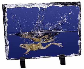 Diving Frog, Stunning Photo Slate