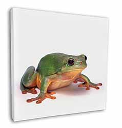 Tree Frog Reptile Square Canvas 12"x12" Wall Art Picture Print