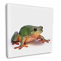 Tree Frog Reptile Square Canvas 12"x12" Wall Art Picture Print
