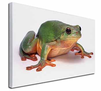 Tree Frog Reptile Canvas X-Large 30"x20" Wall Art Print