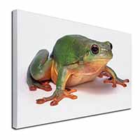 Tree Frog Reptile Canvas X-Large 30"x20" Wall Art Print