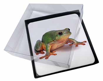 4x Tree Frog Reptile Picture Table Coasters Set in Gift Box