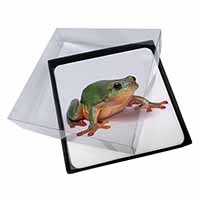 4x Tree Frog Reptile Picture Table Coasters Set in Gift Box