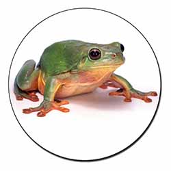 Tree Frog Reptile Fridge Magnet Printed Full Colour