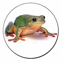 Tree Frog Reptile Fridge Magnet Printed Full Colour