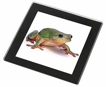 Tree Frog Reptile Black Rim High Quality Glass Coaster