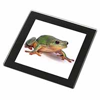 Tree Frog Reptile Black Rim High Quality Glass Coaster