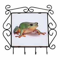 Tree Frog Reptile Wrought Iron Key Holder Hooks