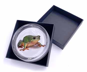 Tree Frog Reptile Glass Paperweight in Gift Box