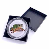 Tree Frog Reptile Glass Paperweight in Gift Box