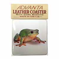 Tree Frog Reptile Single Leather Photo Coaster