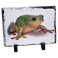 Tree Frog Reptile, Stunning Photo Slate