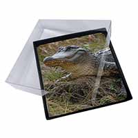 4x Crocodile Print Picture Table Coasters Set in Gift Box