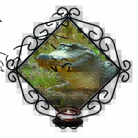 Croc 