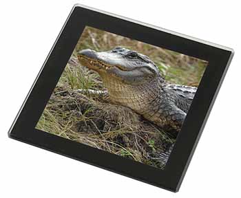 Crocodile Print Black Rim High Quality Glass Coaster