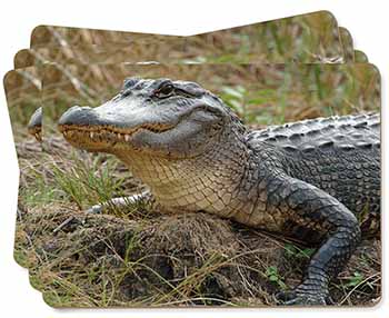 Crocodile Print Picture Placemats in Gift Box