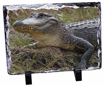 Crocodile Print, Stunning Photo Slate