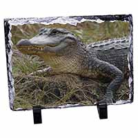 Crocodile Print, Stunning Photo Slate