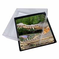 4x Nile Crocodile, Bird in Mouth Picture Table Coasters Set in Gift Box