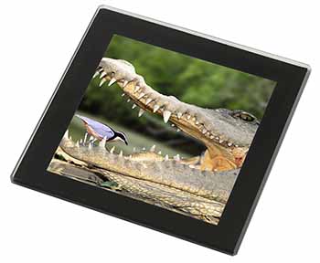 Nile Crocodile, Bird in Mouth Black Rim High Quality Glass Coaster