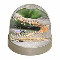 Nile Crocodile, Bird in Mouth Snow Globe Photo Waterball