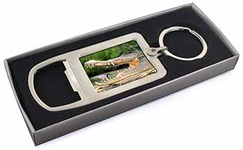 Nile Crocodile, Bird in Mouth Chrome Metal Bottle Opener Keyring in Box