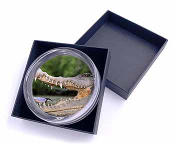 Nile Crocodile, Bird in Mouth Glass Paperweight in Gift Box