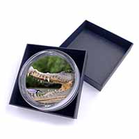 Nile Crocodile, Bird in Mouth Glass Paperweight in Gift Box