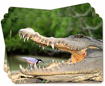 Nile Crocodile, Bird in Mouth Picture Placemats in Gift Box