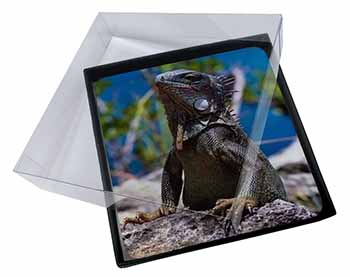 4x Lizard Picture Table Coasters Set in Gift Box