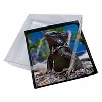 4x Lizard Picture Table Coasters Set in Gift Box