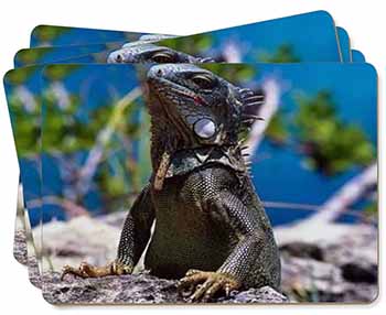 Lizard Picture Placemats in Gift Box