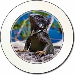 Lizard Car or Van Permit Holder/Tax Disc Holder