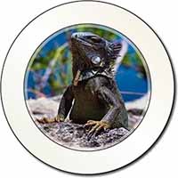 Lizard Car or Van Permit Holder/Tax Disc Holder