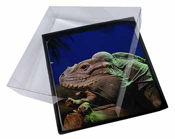 4x Iguana Lizard Picture Table Coasters Set in Gift Box