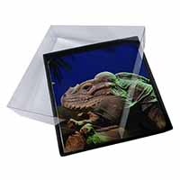 4x Iguana Lizard Picture Table Coasters Set in Gift Box