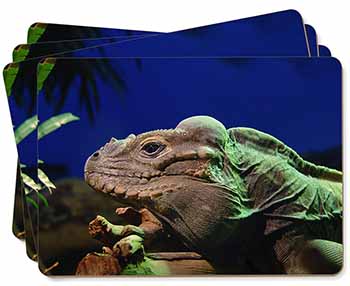 Iguana Lizard Picture Placemats in Gift Box