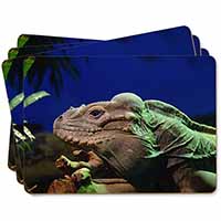 Iguana Lizard Picture Placemats in Gift Box - Advanta Group®
