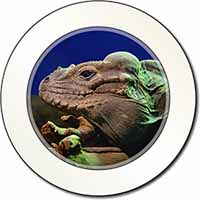 Iguana Lizard Car or Van Permit Holder/Tax Disc Holder